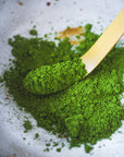 Matcha - Ceremonial Grade