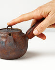 Side handle tea pot with wooden handle on white background. front view with hand to show scale
