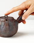 Side handle tea pot with wooden handle on white background. front view with hand to show scale