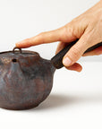 Side handle tea pot with wooden handle on white background. front view with hand to show scale