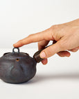 Side-handle Teapot - Driftwood small