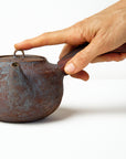 Side-handle Teapot - Dark - Large