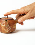 Side-handle Teapot - Shino - Small